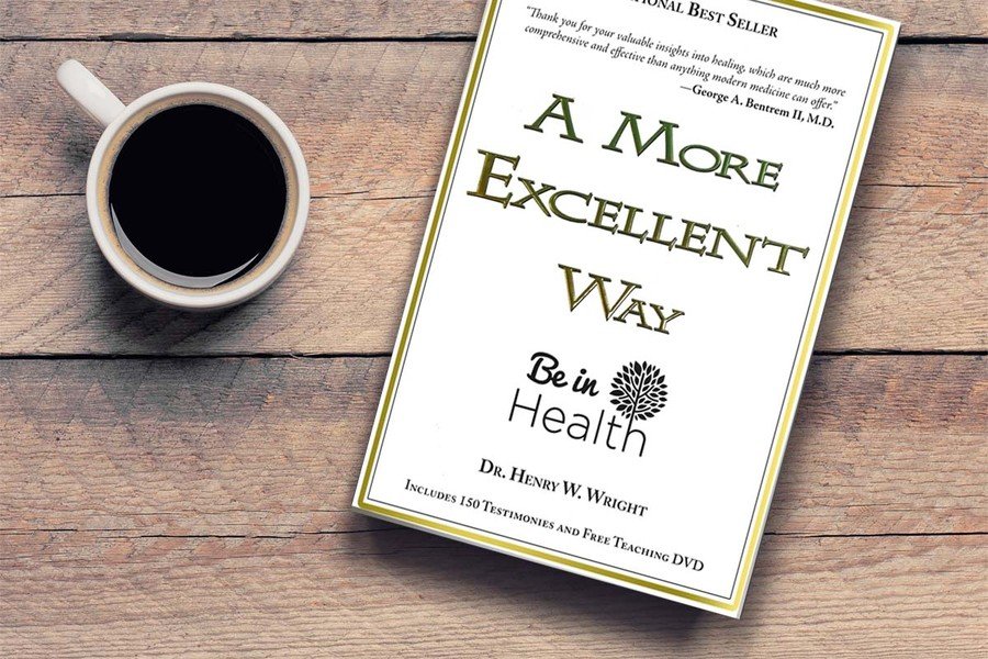 A More Excellent Way by Henry W Wright 