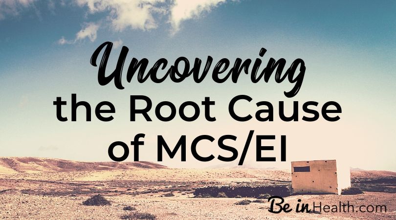 Discover the real culprit that compromises your immune system and causes the devastation of Multiple Chemical Sensitivity and Environmental Illness.