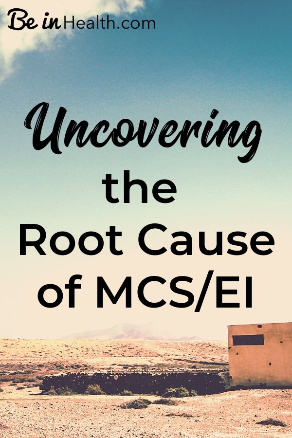 Discover the real culprit that compromises your immune system and causes the devastation of Multiple Chemical Sensitivity and Environmental Illness.