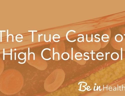 The True Cause of High Cholesterol