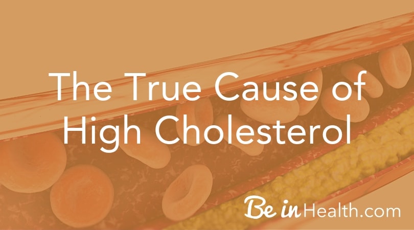 The true cause of high cholesterol and how to defeat it in your life from a Biblical perspective.
