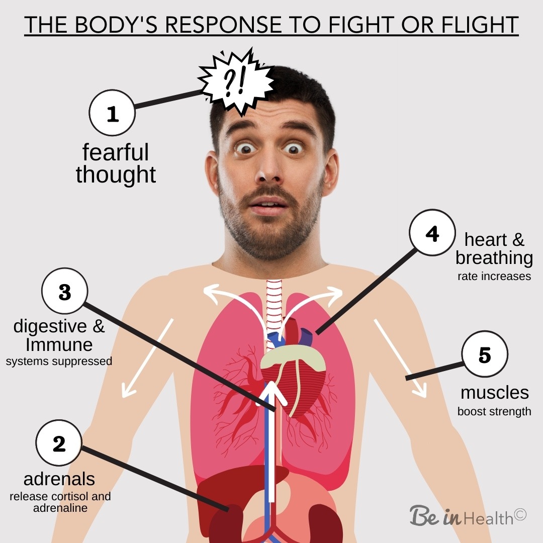 How to Overcome Stress - Fight or flight chart 1