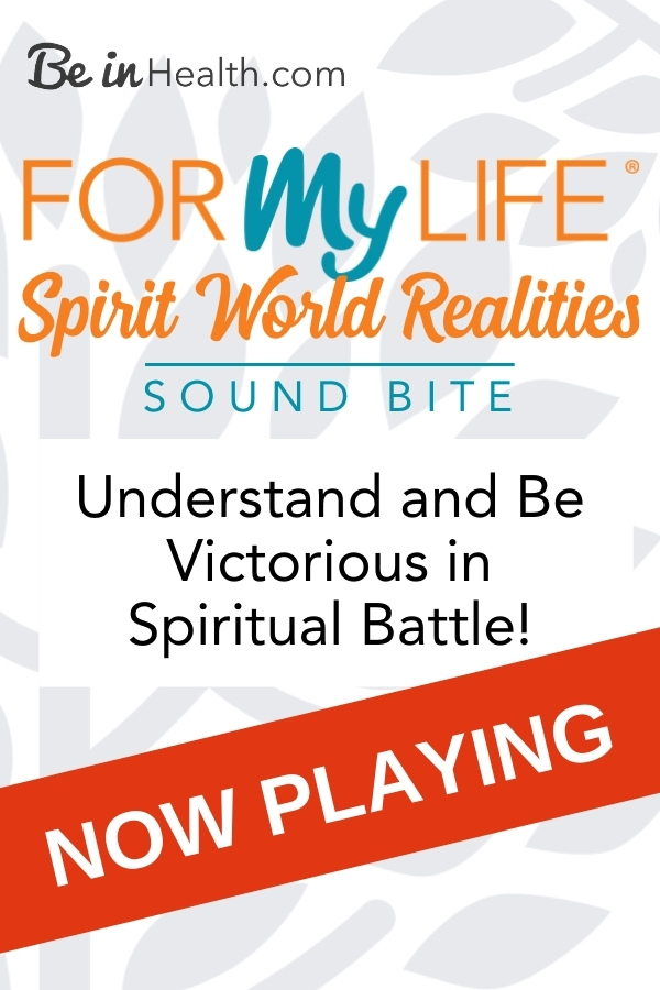 A biblical perspective into the spirit world including the Kingdom of God and Satan's kingdom and how to be successful in spiritual warfare.