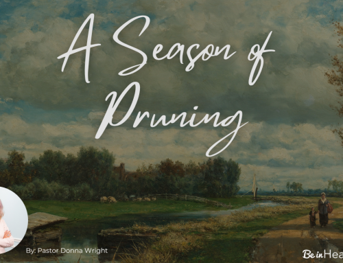 A Season of Pruning