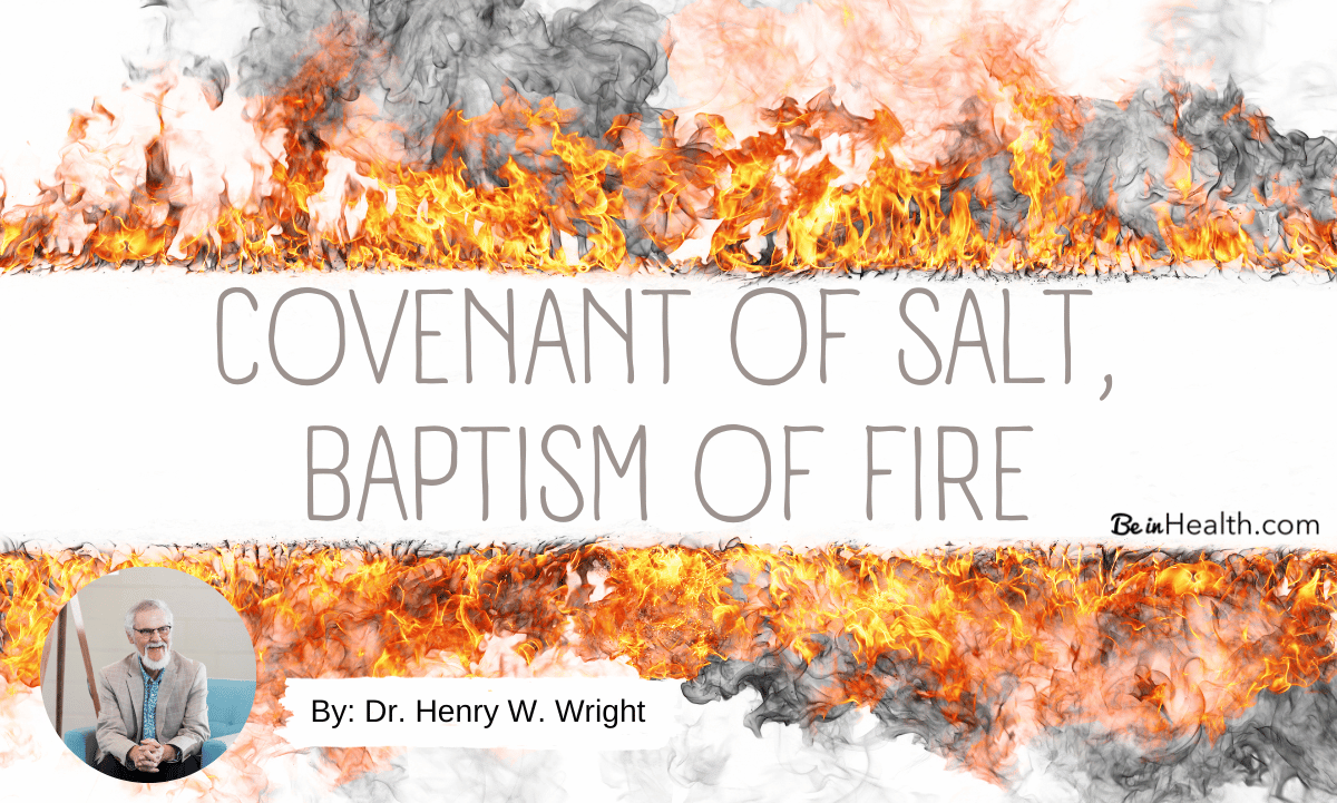 What is the Covenant of Salt mentioned in the Bible, and why is it significant? And how does it relate to the Baptism of Fire?